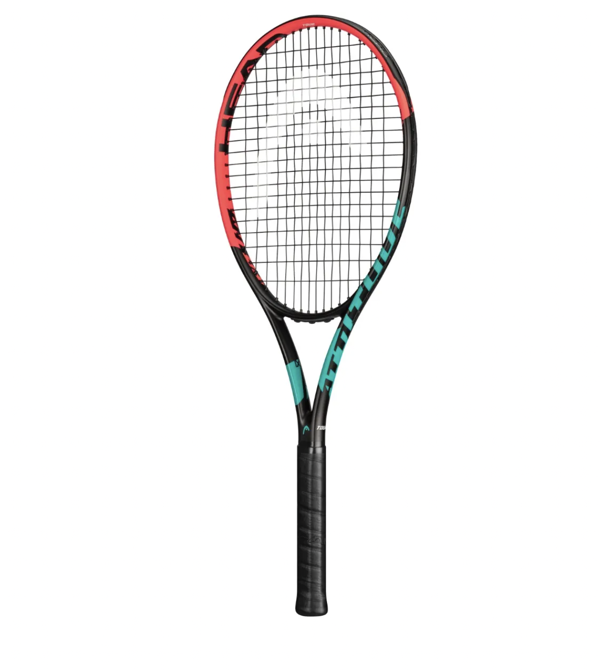 Head Arcore tour_25430.jpg