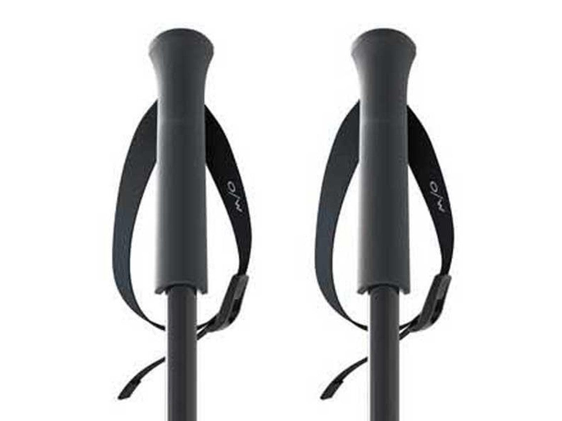 baston GT 18 fischer_25299.jpg