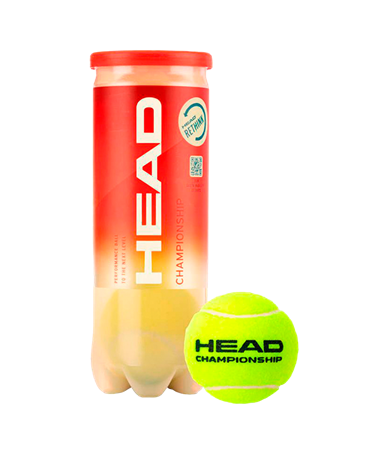 bote Head Champion 3b_26211.jpg