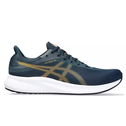 Asics Patriot 13_28321.jpg