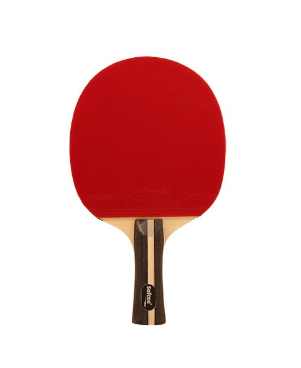 pala pingpong_16788.jpg
